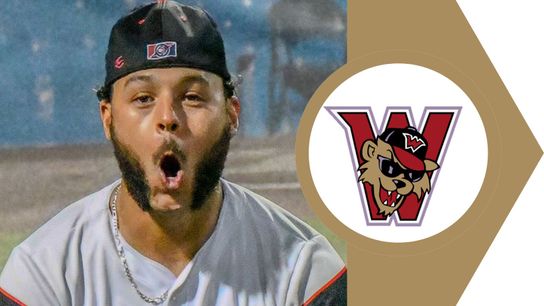 Comeback attempt falls short in series opener taken in Evansville, Ind. (Wild Things)