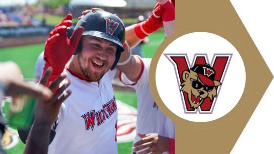 Czech breaks franchise home run record taken in Washington, Pa.